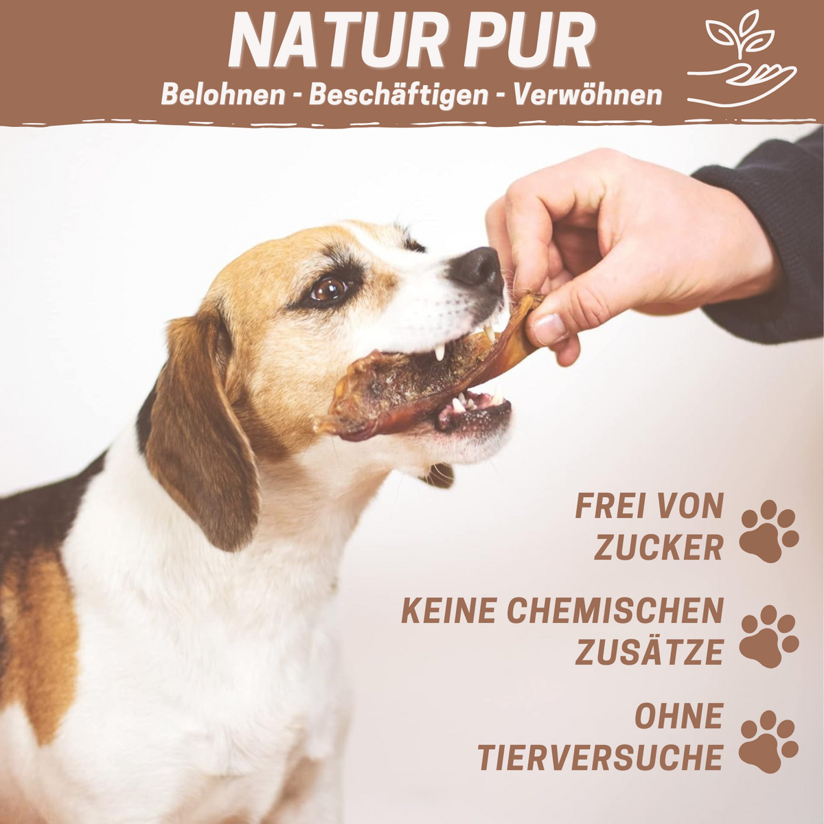 Trainingshappen Rind - versch. Varianten