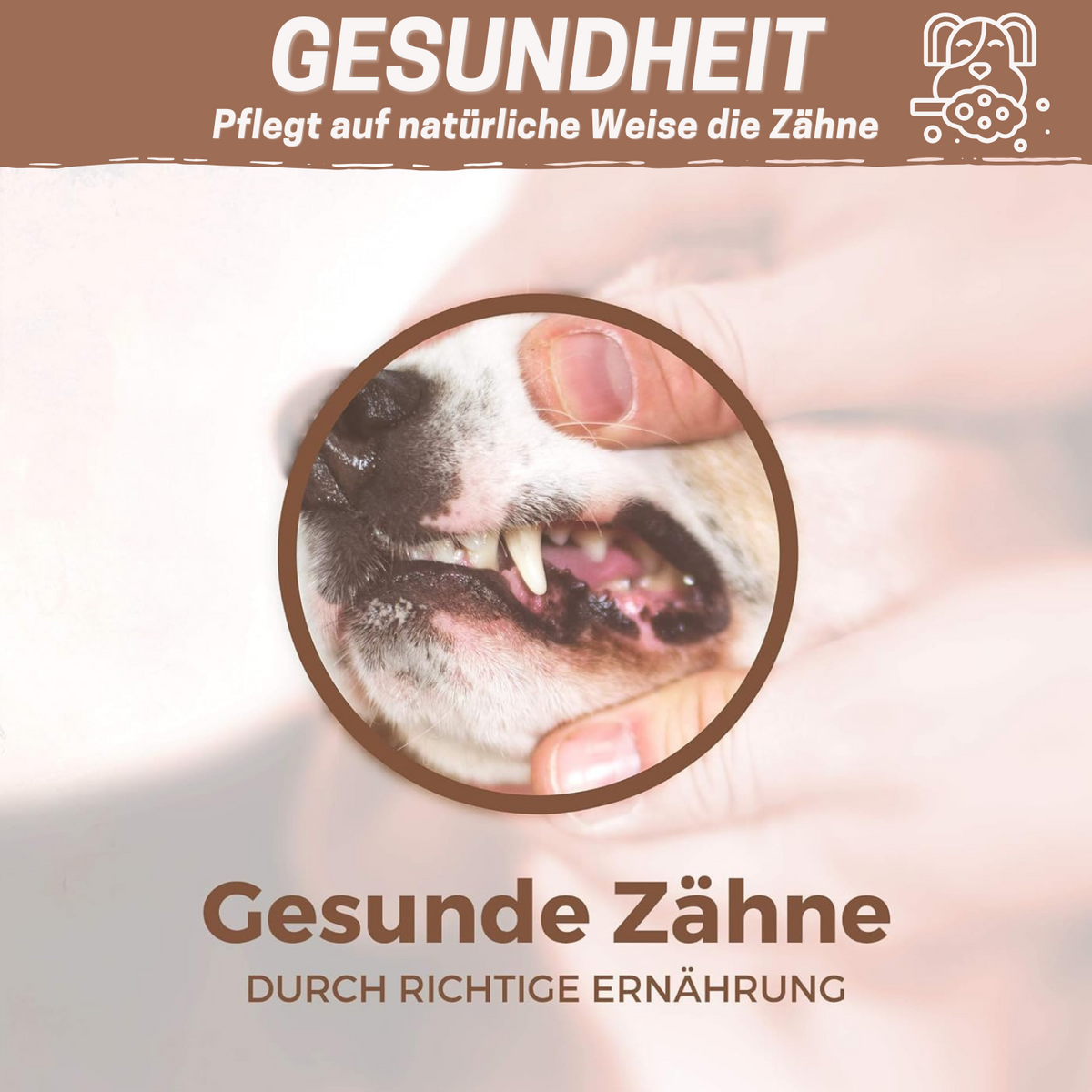 Trainingshappen Rind - versch. Varianten