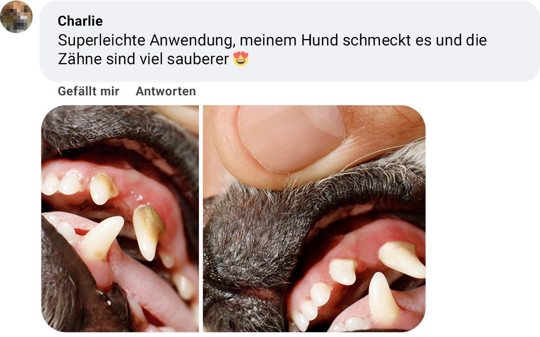 Erfahrungsbericht zum Dentalspray