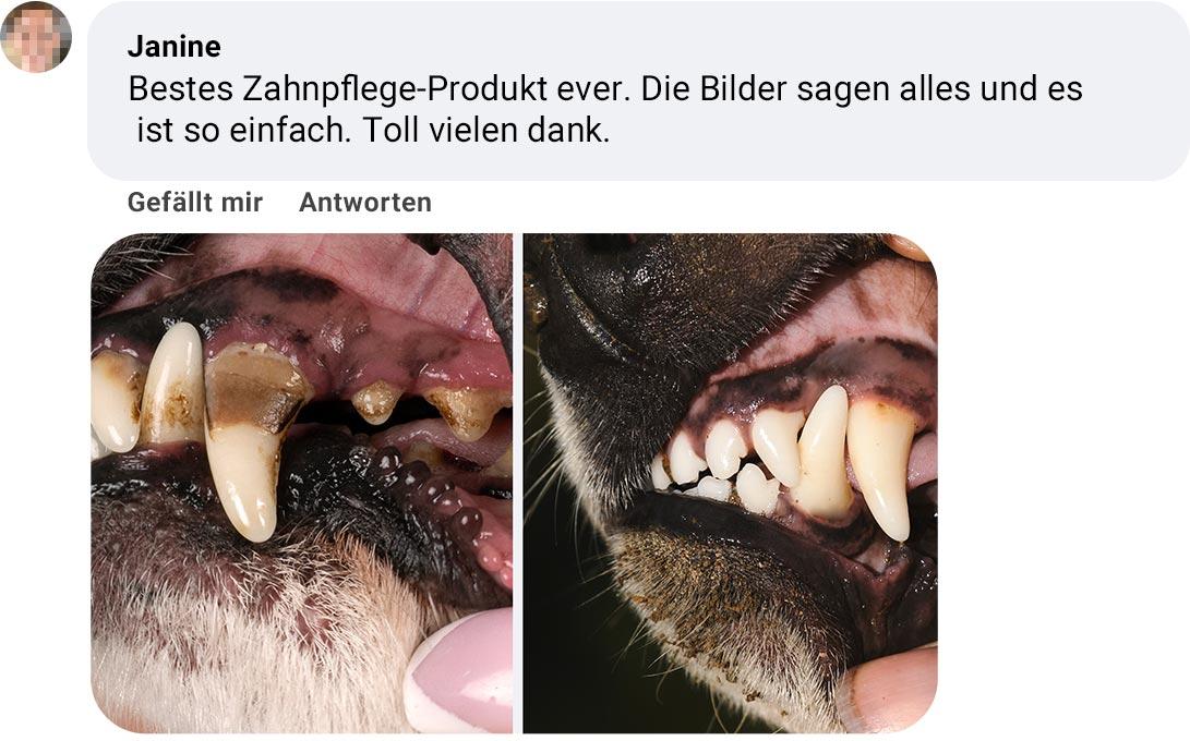 Erfahrungsbericht zum Dentalspray