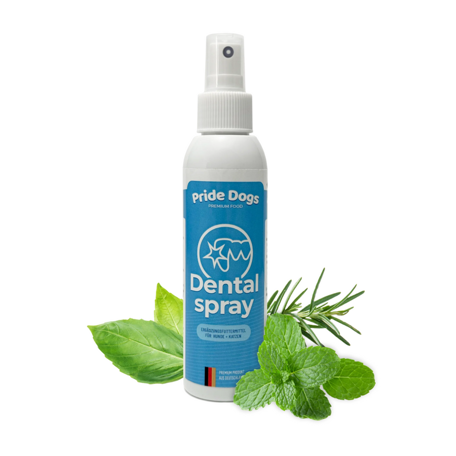 Dentalspray - versch. Varianten