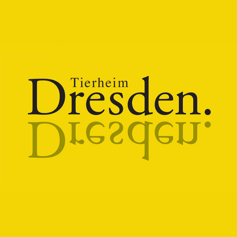 Tierheim Dresden