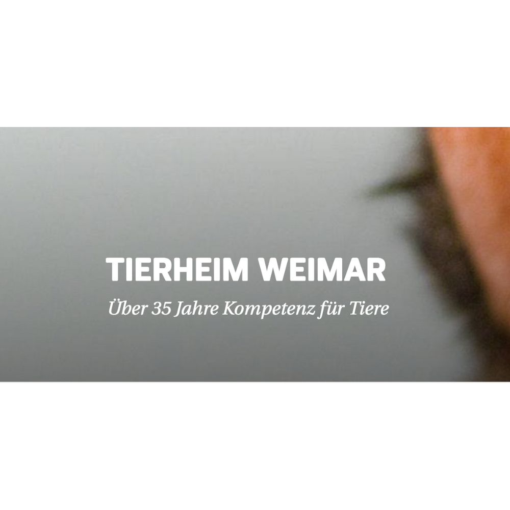 Tierheim Weimar