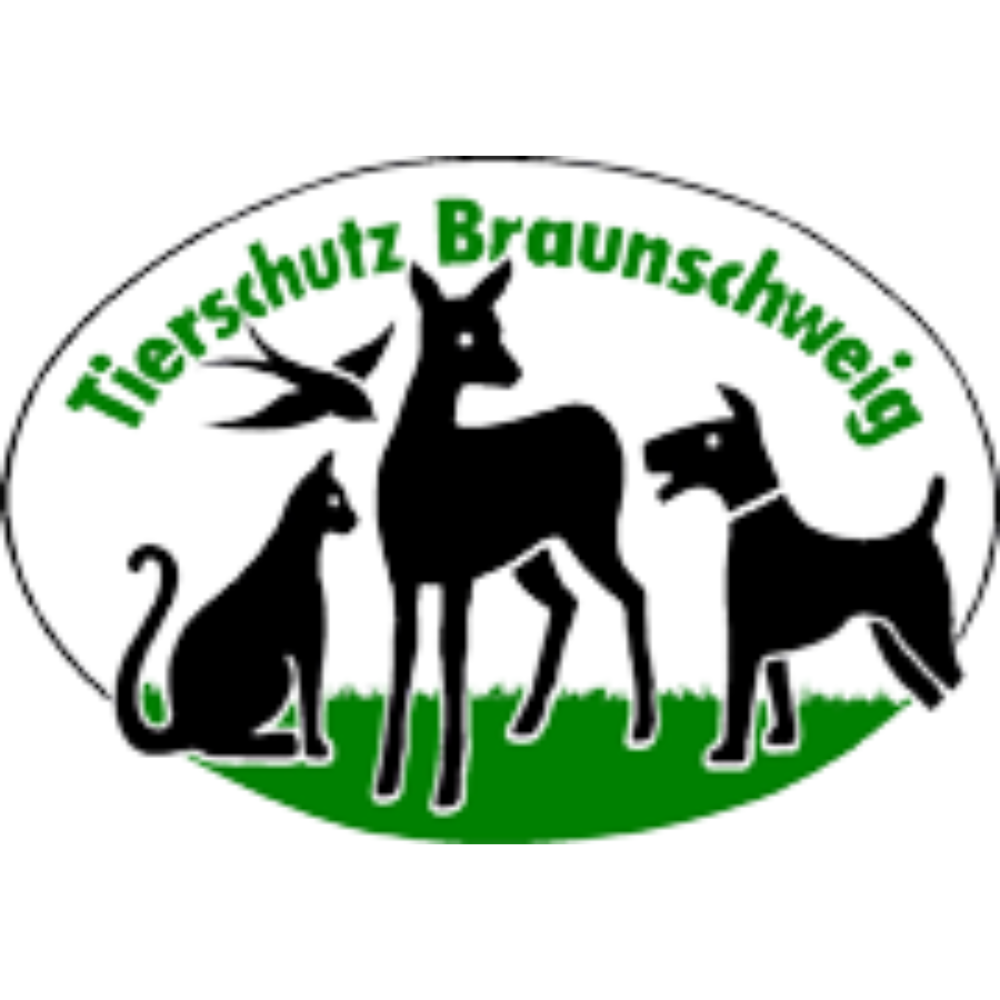 TS Braunschweig