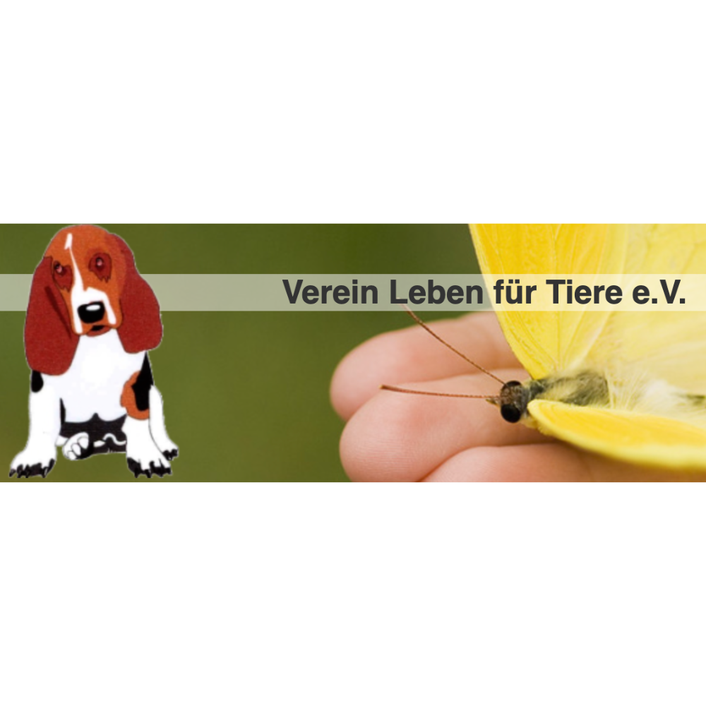 Verein Leben f. Tiere