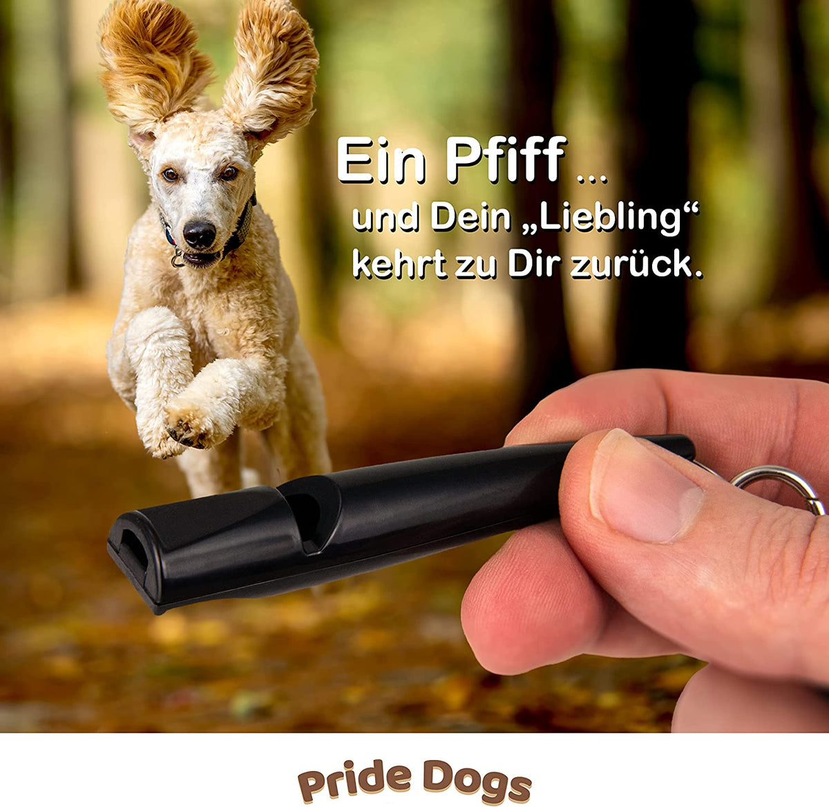 Hundepfeife - 1 Stück - mit Pfeifenband