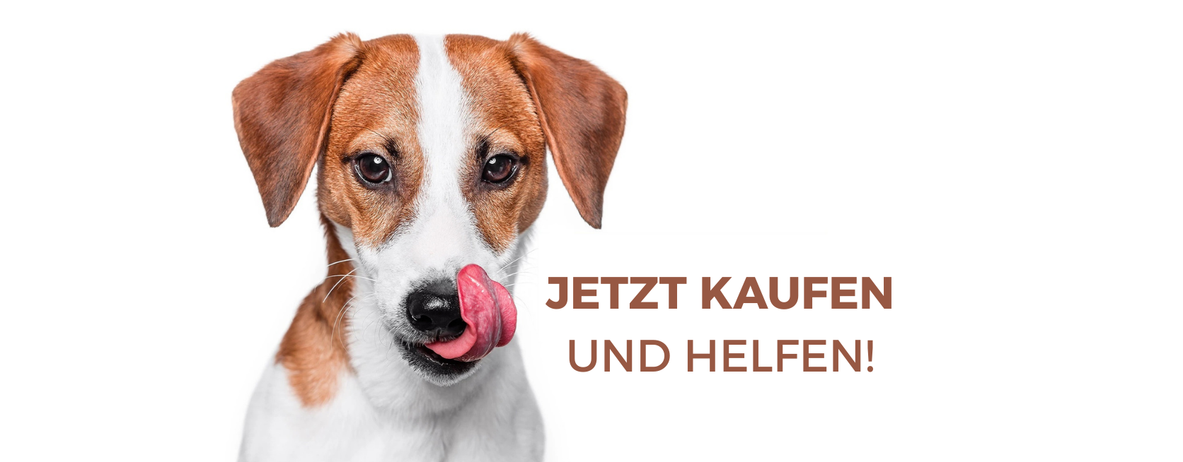 Dein Kauf ist Deine Spende – jetzt kaufen und helfen